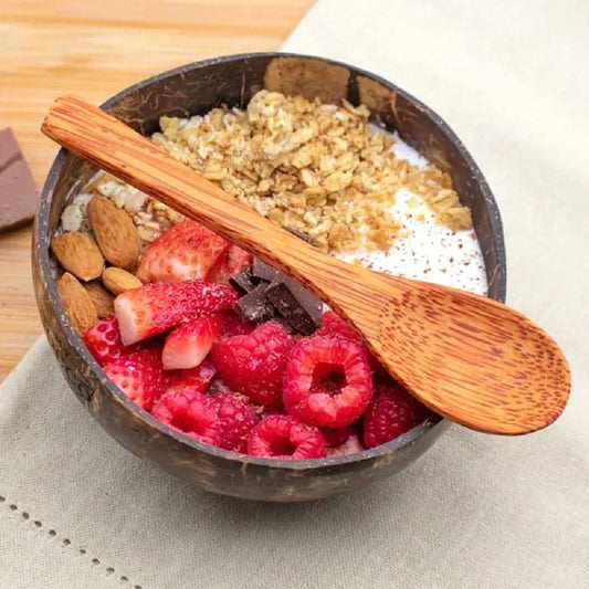 Natural Coconut Shell Bowl